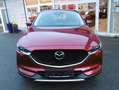 Mazda CX-5 Sports-Line AWD 360° Head up SR WR Voll LED Rot - thumbnail 2