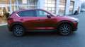 Mazda CX-5 Sports-Line AWD 360° Head up SR WR Voll LED Rot - thumbnail 4