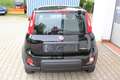Fiat Panda HYBRID 1,0 Hybrid, Tech-Paket Sie sparen 4.300,... Negro - thumbnail 5