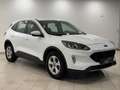 Ford Kuga 1.5 EcoBoost Cool & Connect 1-Hand 4x SHZ Bianco - thumbnail 5