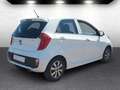 Kia Picanto Spirit **AU/HU bis 06/2027** 1-Hand Weiß - thumbnail 4