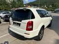 SsangYong Rexton Rexton W 2.0 D/Automatik/4x4/Leder1.Hand/7Sitzer Белый - thumbnail 4