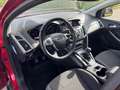 Ford Focus 1.6 TI-VCT Titanium ECC LMV 16" Audio/CD Navigatie Rood - thumbnail 3