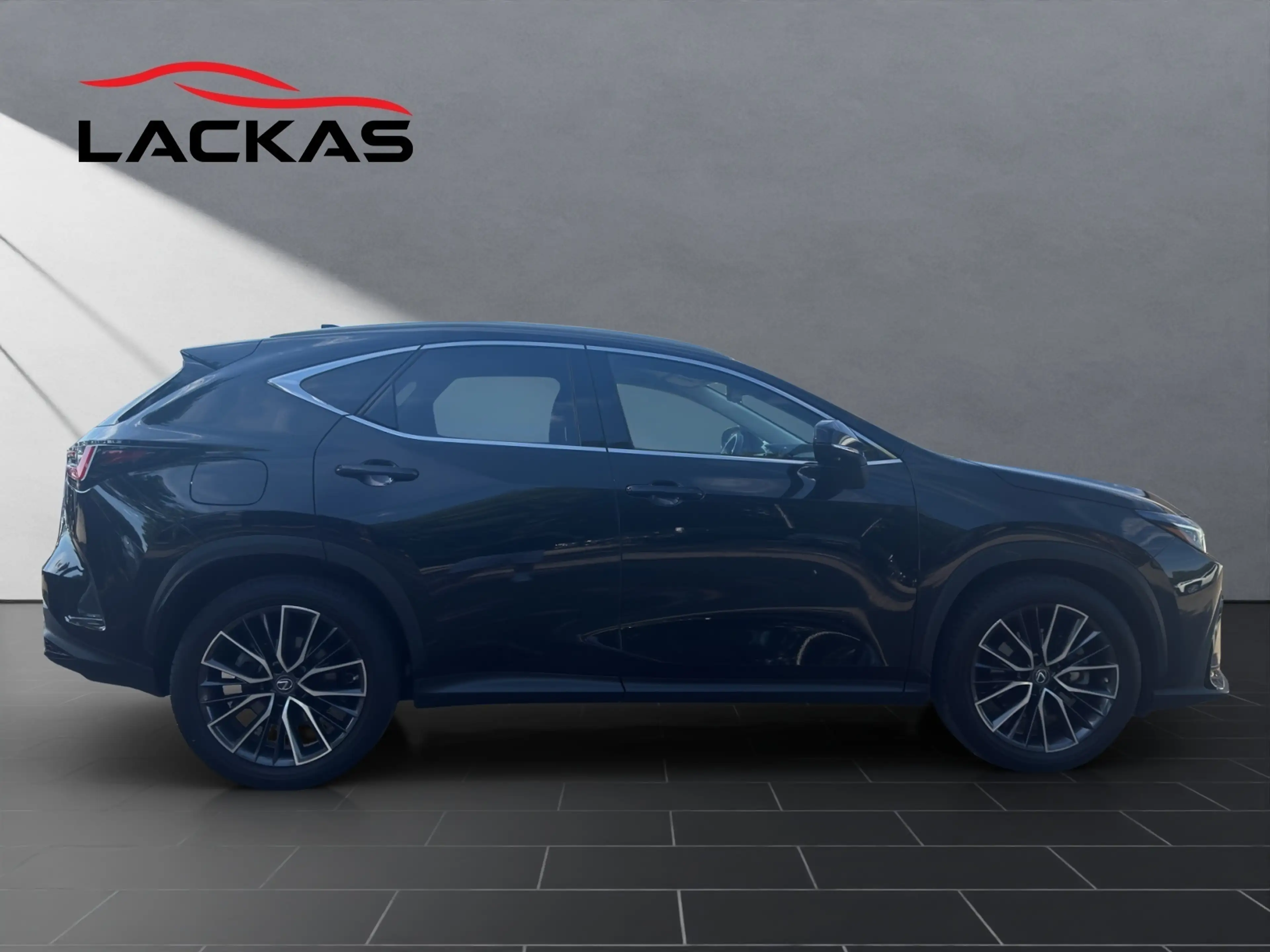 Lexus NX 450h+ 450 h+ E-Four Luxury, AHK — photo 6