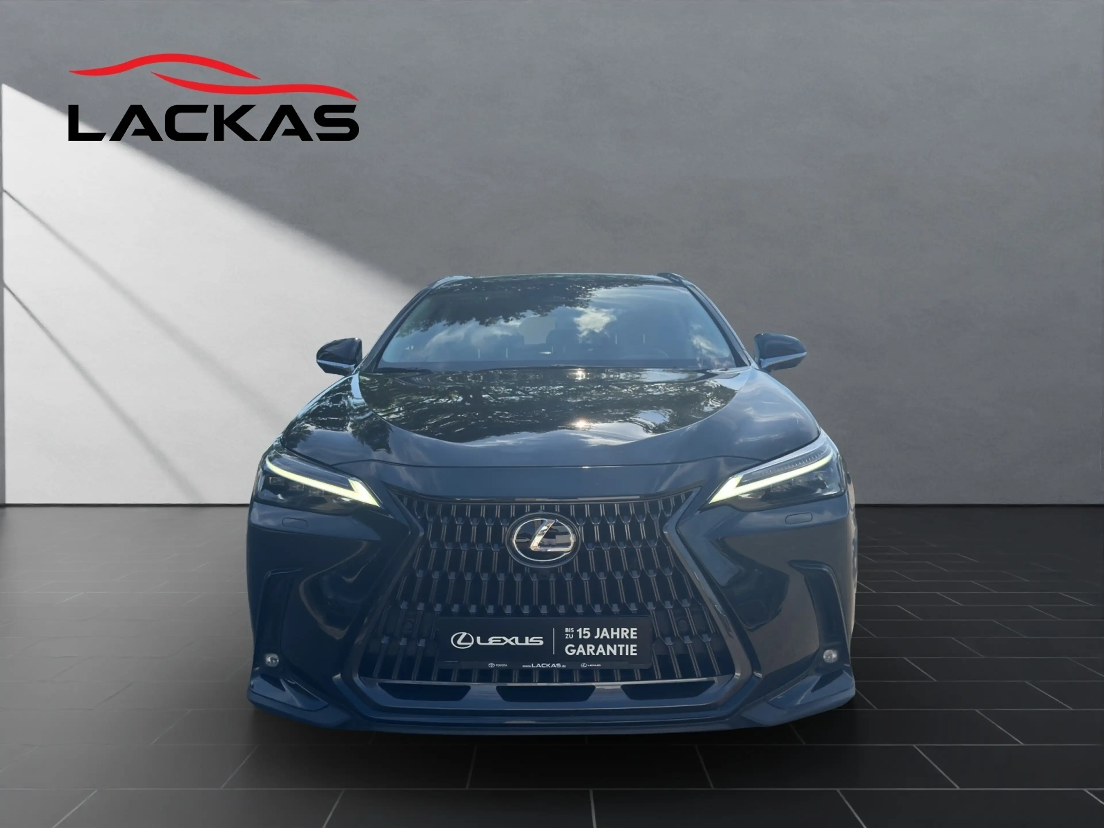 Lexus NX 450h+ 450 h+ E-Four Luxury, AHK — photo 8