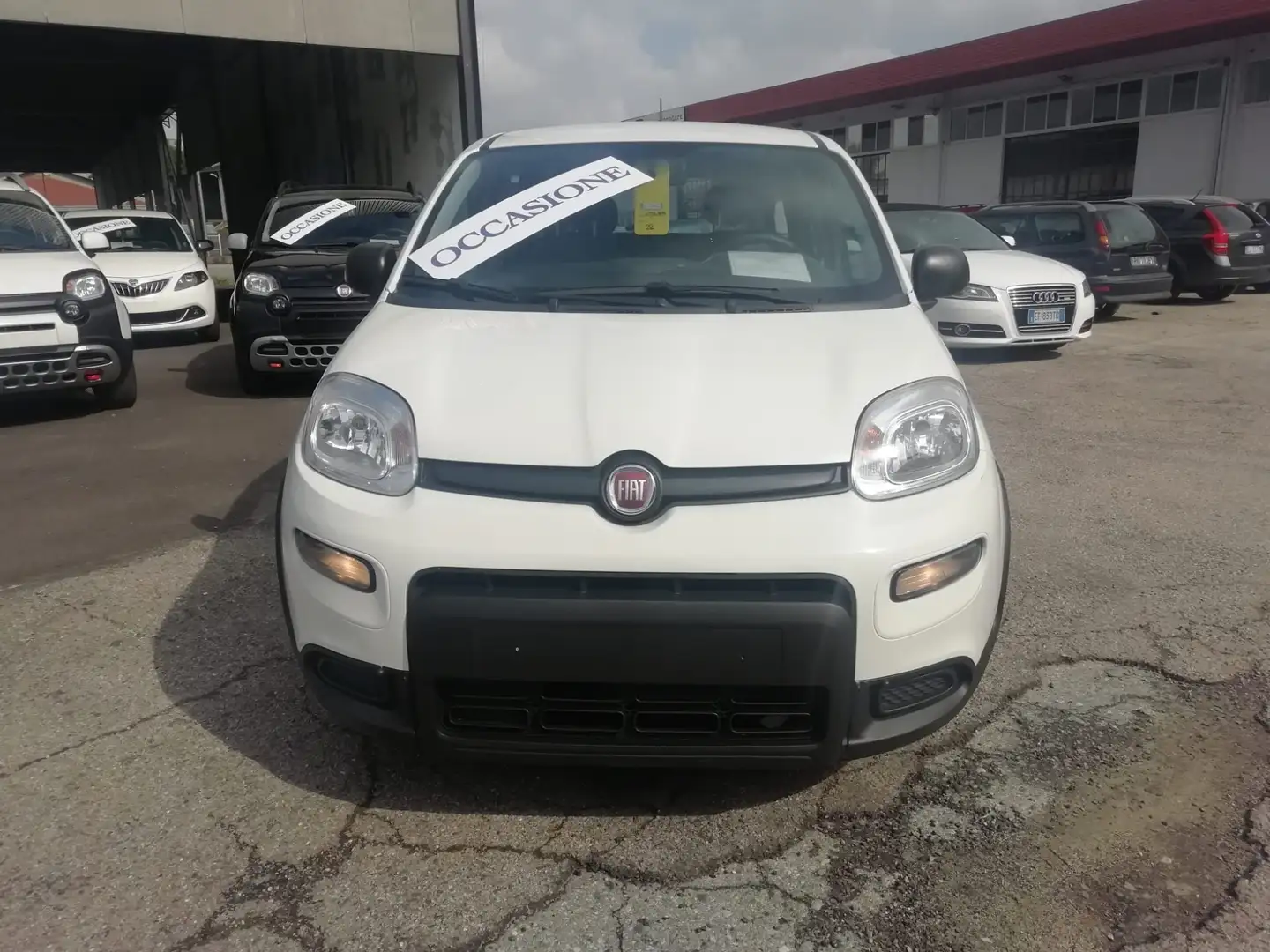 Fiat Panda 1.0 HYBRID Wit - 2