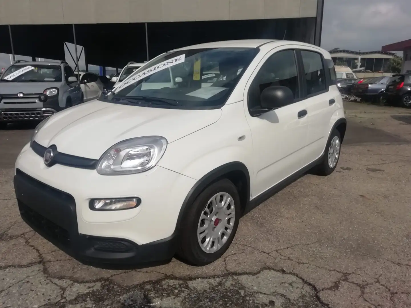 Fiat Panda 1.0 HYBRID Wit - 1