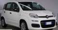 Fiat Panda 1.0 HYBRID VARI-COLORI PRONTA CONSEGNA Bianco - thumbnail 1
