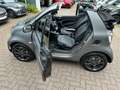 smart forTwo fortwo Cabrio EQ*EXCL*60kW*LEDER*SHZ*KAM*22kW Gris - thumbnail 23