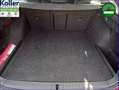 Skoda Octavia Combi 1.4 TSI iV DSG Navi Kamera ACC Roşu - thumbnail 9