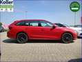 Skoda Octavia Combi 1.4 TSI iV DSG Navi Kamera ACC Roşu - thumbnail 5
