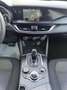 Alfa Romeo Stelvio 2.2 td Business AT8 RWD160cv auto my19 Rot - thumbnail 13