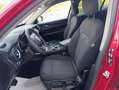Alfa Romeo Stelvio 2.2 td Business AT8 RWD160cv auto my19 Rot - thumbnail 8
