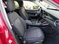 Alfa Romeo Stelvio 2.2 td Business AT8 RWD160cv auto my19 Rot - thumbnail 9