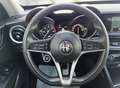 Alfa Romeo Stelvio 2.2 td Business AT8 RWD160cv auto my19 Rot - thumbnail 12