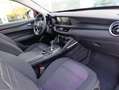 Alfa Romeo Stelvio 2.2 td Business AT8 RWD160cv auto my19 Rot - thumbnail 10