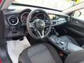 Alfa Romeo Stelvio 2.2 td Business AT8 RWD160cv auto my19 Rot - thumbnail 7
