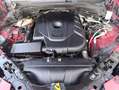 Alfa Romeo Stelvio 2.2 td Business AT8 RWD160cv auto my19 Rot - thumbnail 15