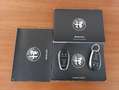 Alfa Romeo Stelvio 2.2 td Business AT8 RWD160cv auto my19 Rot - thumbnail 17