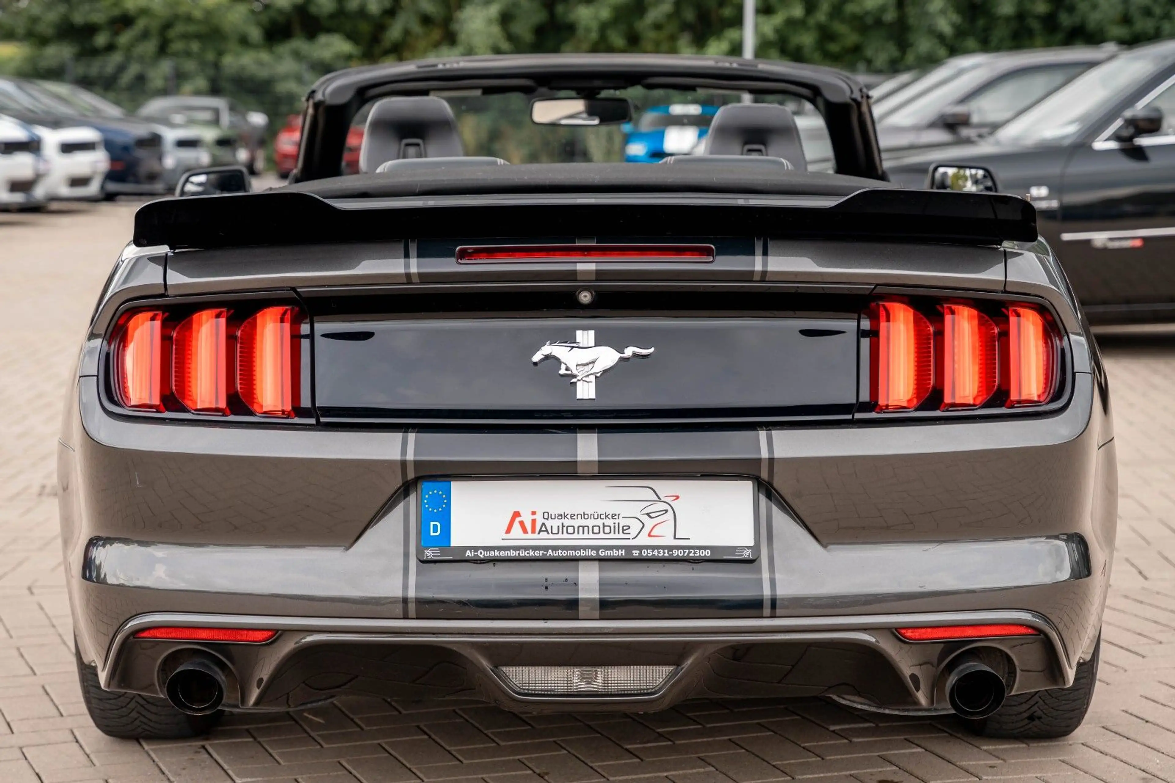 Ford Mustang CABRIO 3.7 SHELBY GT350 FACELIFTLEDER NA — photo 15
