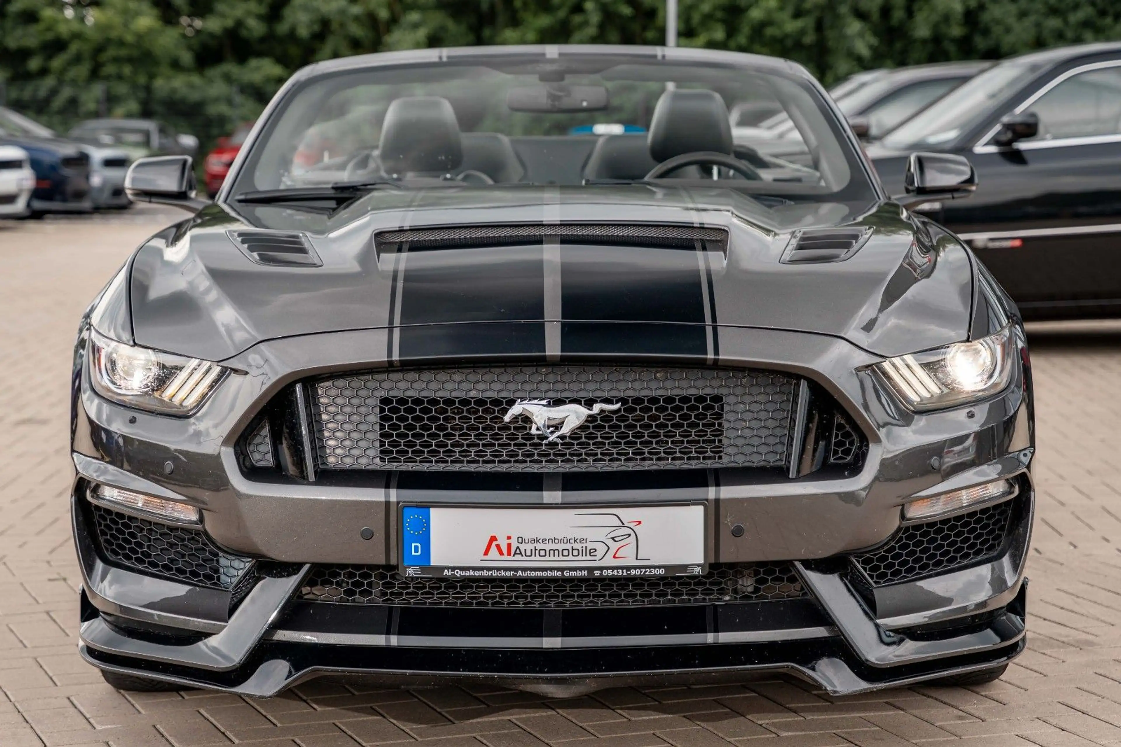 Ford Mustang CABRIO 3.7 SHELBY GT350 FACELIFTLEDER NA — photo 9