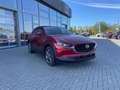 Mazda CX-30 2.0L (186PS) Autom. Exclusive-line Sitzhei Rot - thumbnail 8