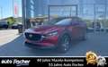 Mazda CX-30 2.0L (186PS) Autom. Exclusive-line Sitzhei Rot - thumbnail 1