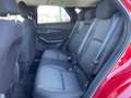 Mazda CX-30 2.0L (186PS) Autom. Exclusive-line Sitzhei Rot - thumbnail 14