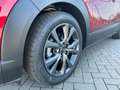 Mazda CX-30 2.0L (186PS) Autom. Exclusive-line Sitzhei Rot - thumbnail 10