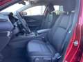 Mazda CX-30 2.0L (186PS) Autom. Exclusive-line Sitzhei Rot - thumbnail 13