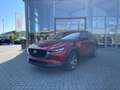 Mazda CX-30 2.0L (186PS) Autom. Exclusive-line Sitzhei Rot - thumbnail 2
