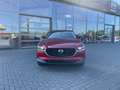 Mazda CX-30 2.0L (186PS) Autom. Exclusive-line Sitzhei Rot - thumbnail 9