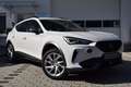 CUPRA Formentor 1.5 TSI DSG/ Cam/Temp/Led/ALU Weiß - thumbnail 1