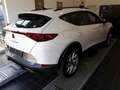 CUPRA Formentor 1.5 TSI DSG/ Cam/Temp/Led/ALU Blanc - thumbnail 4