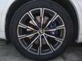 BMW X5 xDrive 30dA Blanco - thumbnail 9