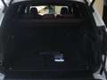 BMW X5 xDrive 30dA Blanco - thumbnail 43
