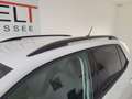 Volkswagen T-Cross Life TSI Weiß - thumbnail 5