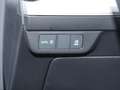 Audi Q4 e-tron nza 40 Optikpaket Schwarz Navi LED Grau - thumbnail 14