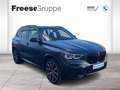 BMW X5 xDrive30d Frozen Folierung Head-Up DAB RFK AHK el. Grijs - thumbnail 1