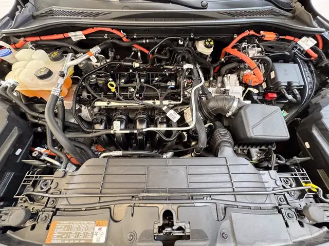 Ford Kuga view 13