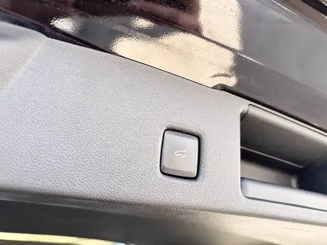 Ford Kuga view 12