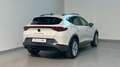 CUPRA Formentor 1.5 TSI  AID*ACC LANE*FRONT*LED*KESSY Bianco - thumbnail 4