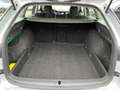 Skoda Octavia Combi 2,0 TDI Ambition DSG Silber - thumbnail 15