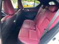 Lexus CT 200h F Sport CT 200h HEV Blanc - thumbnail 12