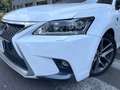 Lexus CT 200h F Sport CT 200h HEV Blanc - thumbnail 7