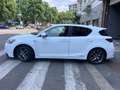 Lexus CT 200h F Sport CT 200h HEV Blanc - thumbnail 22
