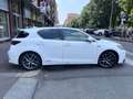 Lexus CT 200h F Sport CT 200h HEV Blanc - thumbnail 21
