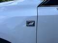 Lexus CT 200h F Sport CT 200h HEV Blanc - thumbnail 24