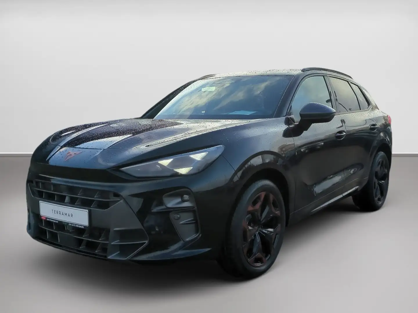 CUPRA Terramar 1.5 eTSI DSG DSG+ACC+AHK+AUT+LED+Navi Zwart - 2