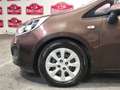 Kia Rio 1.2 Concept Marrón - thumbnail 26
